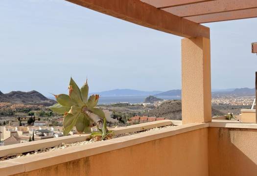 Obra Nueva - Apartmento - Águilas - Centro