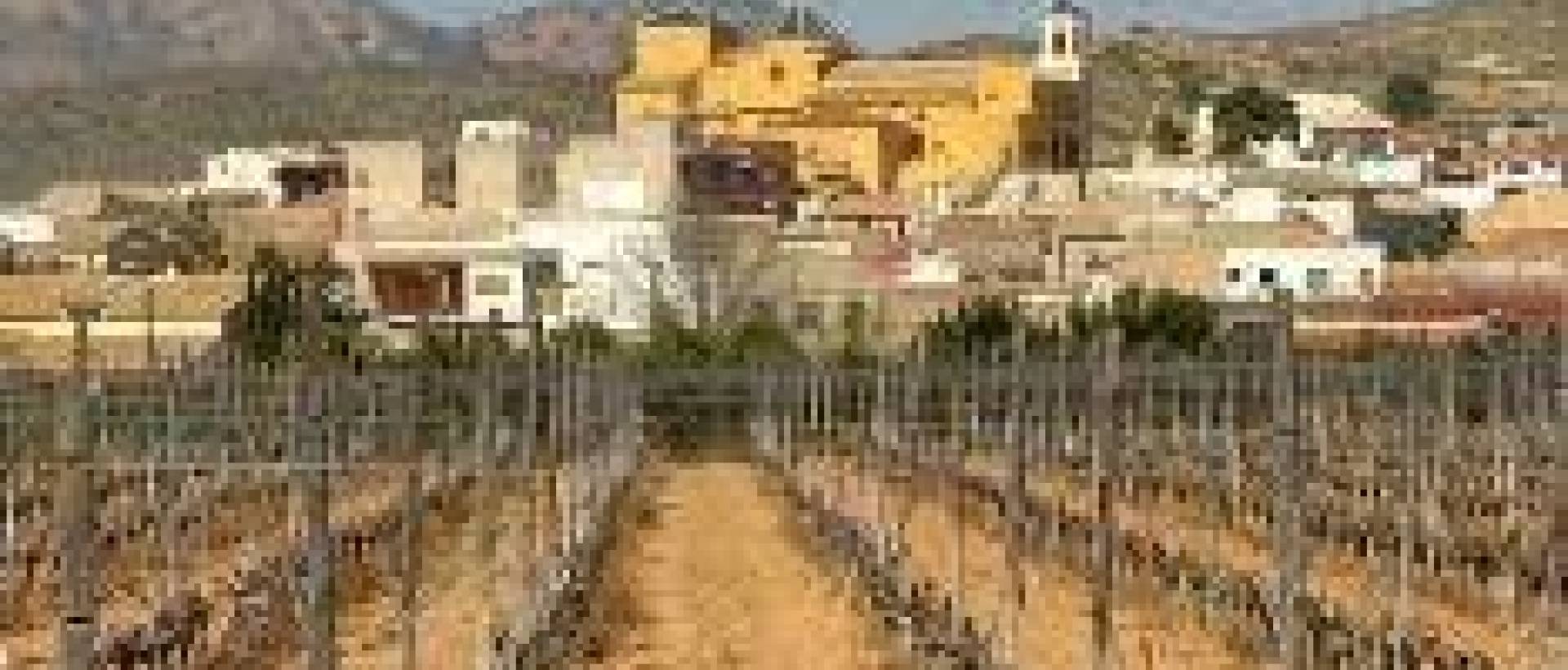 Obra Nueva - Ground Floor Bungalow - Hondon de las Nieves - El Salero