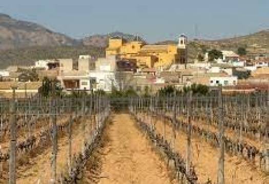 Obra Nueva - Top Floor Bungalow - Hondon de las Nieves - El Salero