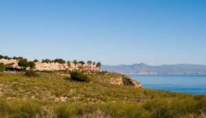 New - Apartment - Gran Alacant