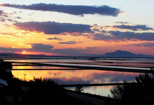 New - Apartment - Gran Alacant