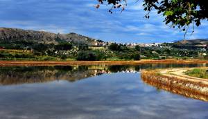 Obra Nueva - Villa / Chalet - Calasparra - Coto riñales