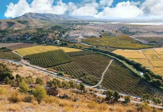 Obra Nueva - Villa / Chalet - Calasparra - Coto riñales