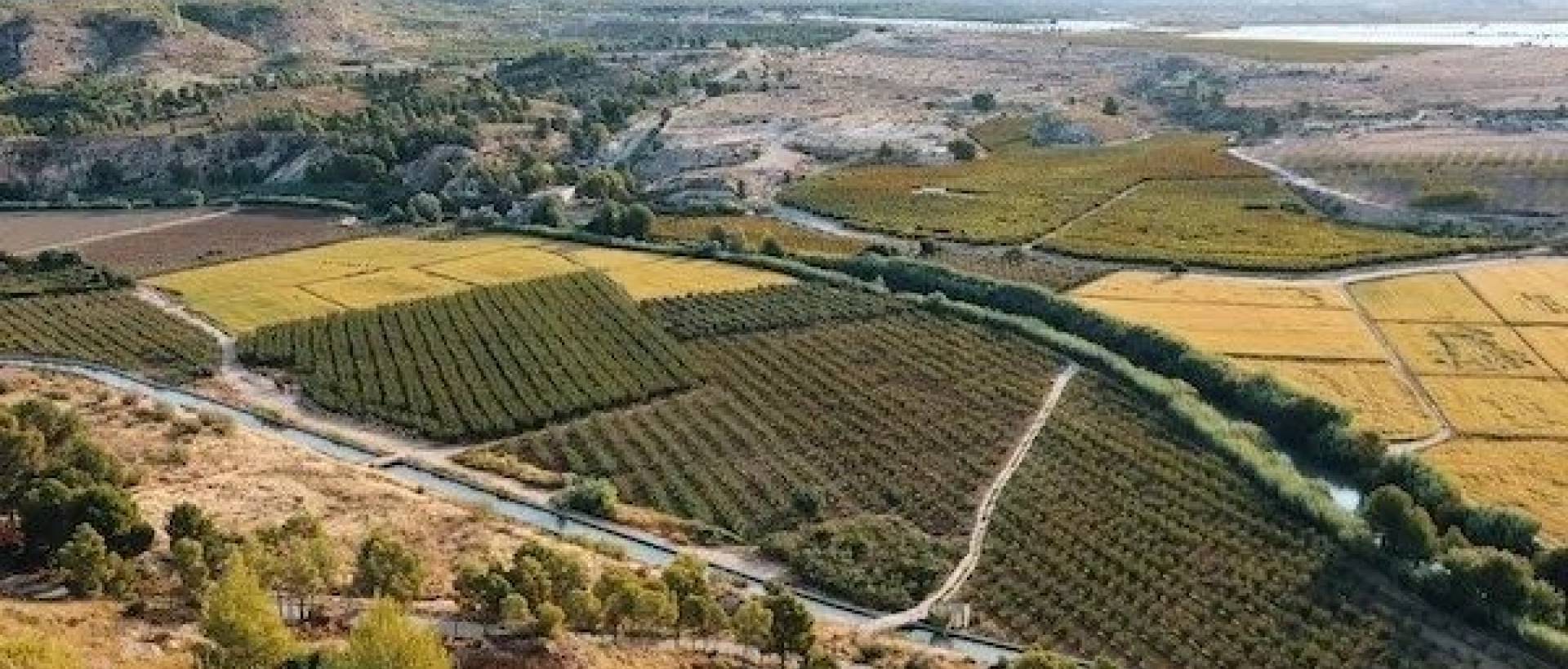 Obra Nueva - Villa / Chalet - Calasparra - Coto riñales