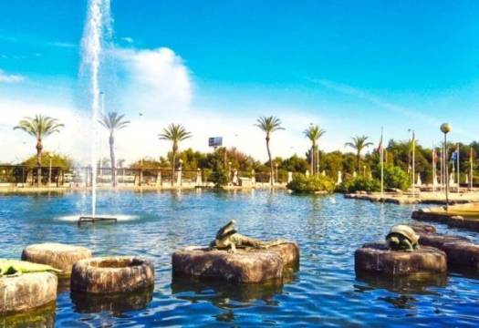Obra Nueva - Villa / Chalet - Torrevieja - Aguas Nuevas