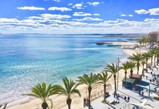 Obra Nueva - Semidetached - Torrevieja - Lago Jardín II