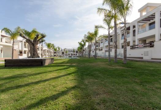 Obra Nueva - Ground Floor Bungalow - Torrevieja - Los balcones