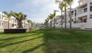 Obra Nueva - Ground Floor Bungalow - Torrevieja - Los balcones