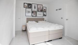 Obra Nueva - Villa / Chalet - Pilar de la Horadada - Pinar de Campoverde