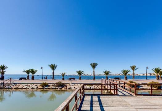 Obra Nueva - Villa / Chalet - Pilar de la Horadada