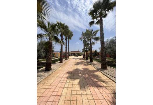 Resale - Finca / Country Property - Fortuna