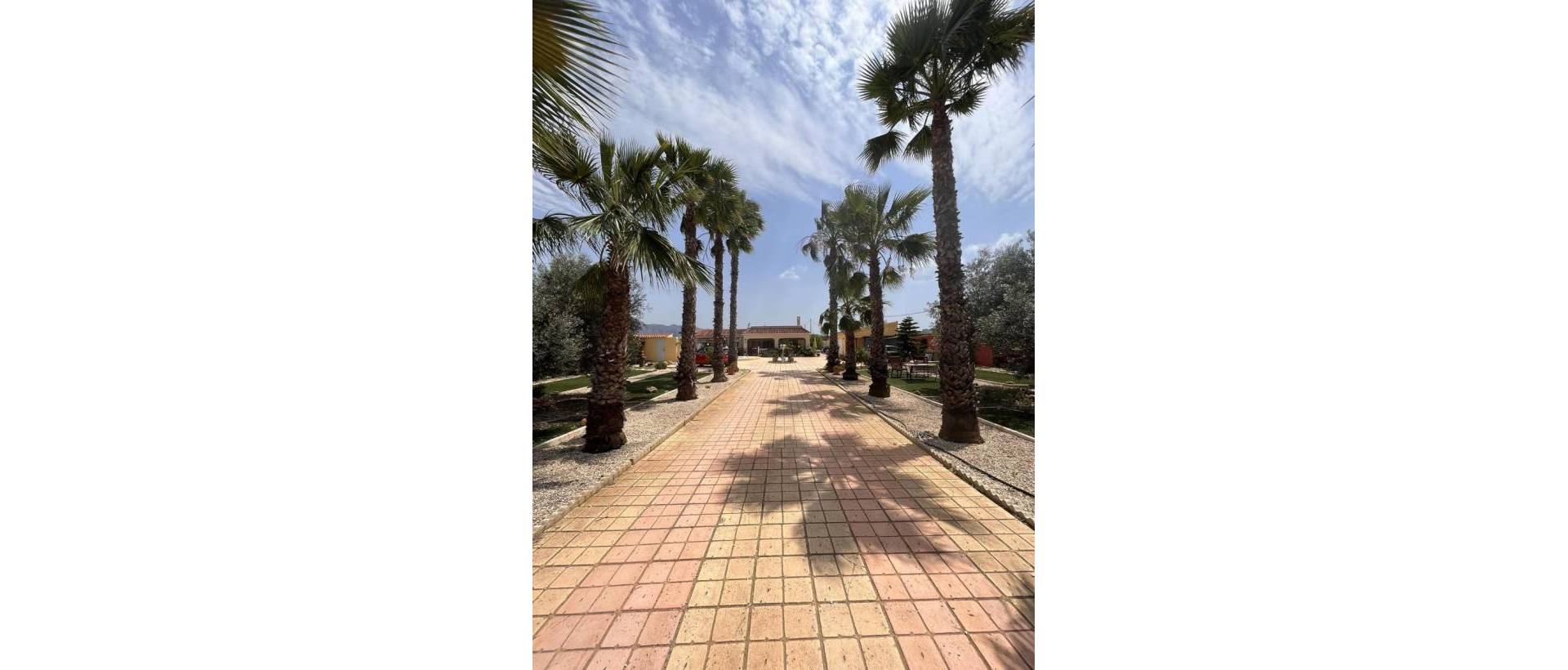 Resale - Finca / Country Property - Fortuna