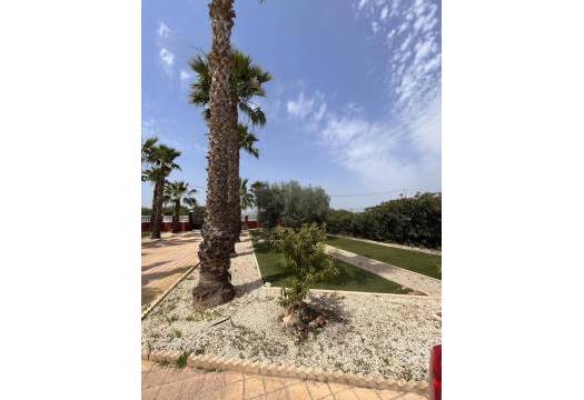 Resale - Finca / Country Property - Fortuna