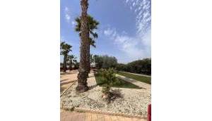 Resale - Finca / Country Property - Fortuna