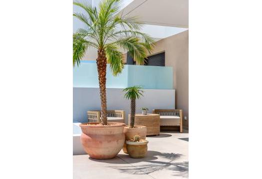 New - Townhouse - Dolores - Comunidad Valenciana