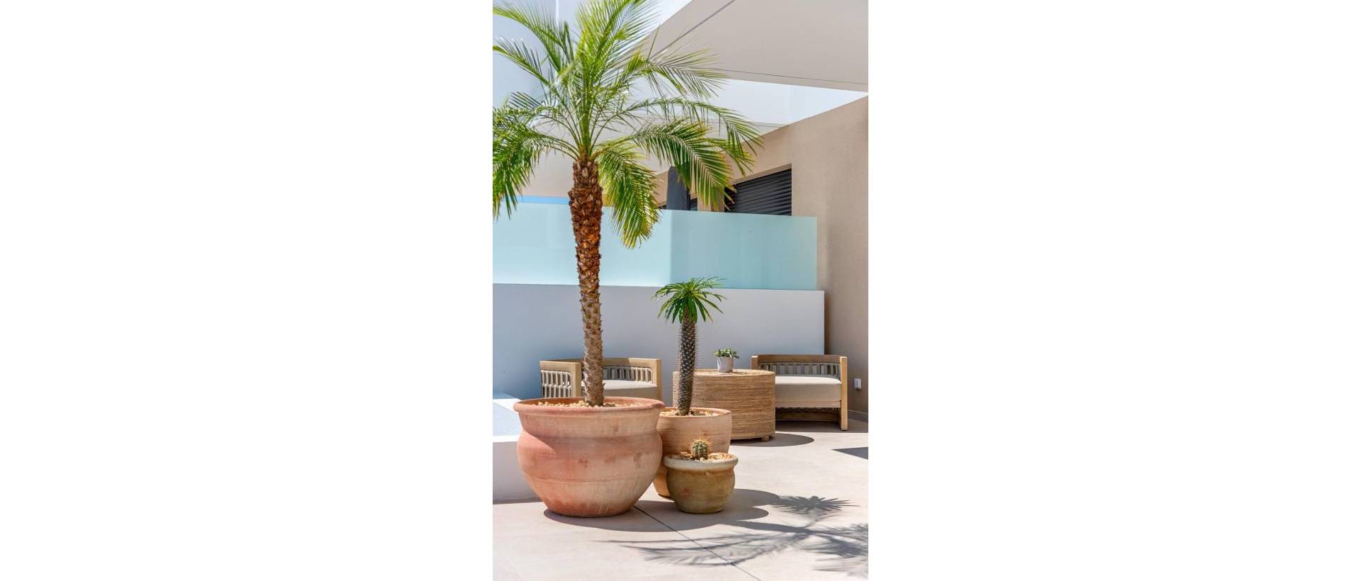 New - Townhouse - Dolores - Comunidad Valenciana