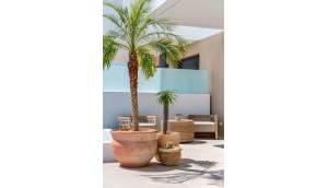 New - Semidetached - Dolores - Comunidad Valenciana