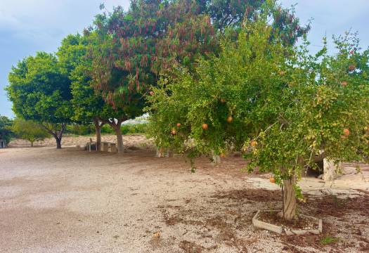 Resale - Finca / Country Property - Rojales - Cuidad Quesada