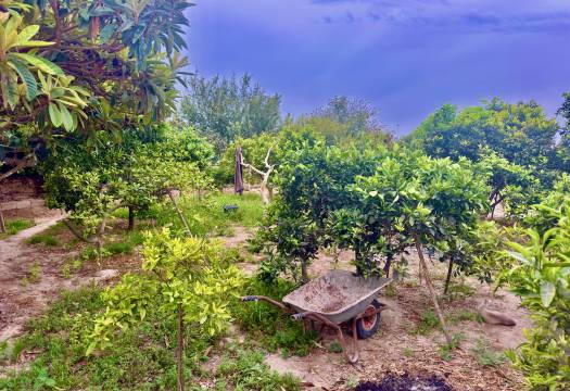 Resale - Finca / Country Property - Rojales - Cuidad Quesada