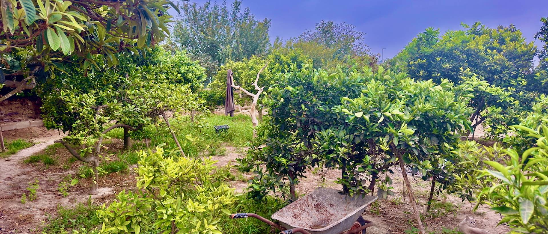 Resale - Finca / Country Property - Rojales - Cuidad Quesada