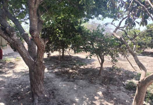 Resale - Finca / Country Property - Rojales - Cuidad Quesada