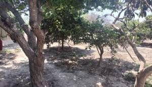 Resale - Finca / Country Property - Rojales - Cuidad Quesada