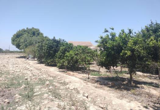 Resale - Finca / Country Property - Rojales - Cuidad Quesada