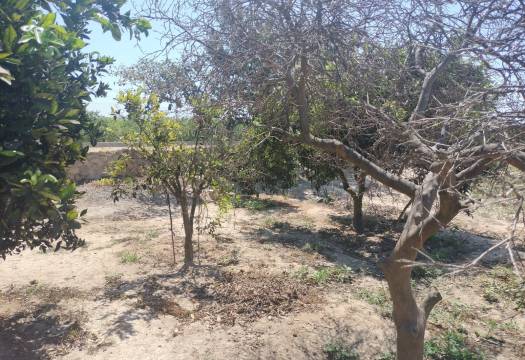Resale - Finca / Country Property - Rojales - Cuidad Quesada