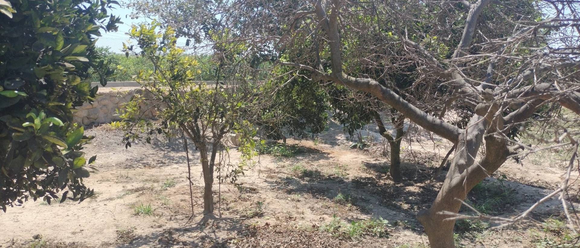 Resale - Finca / Country Property - Rojales - Cuidad Quesada