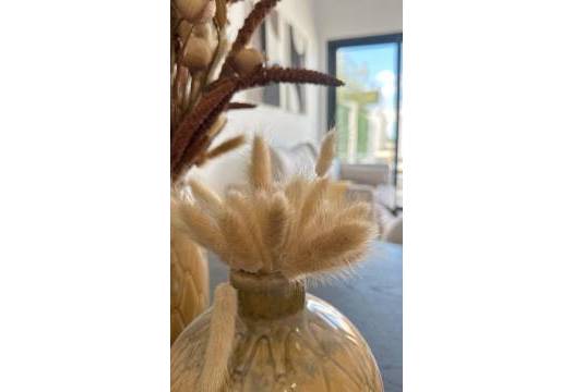 Obra Nueva - Apartmento - San Fulgencio - Pueblo