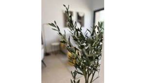 Obra Nueva - Apartmento - San Fulgencio - Pueblo