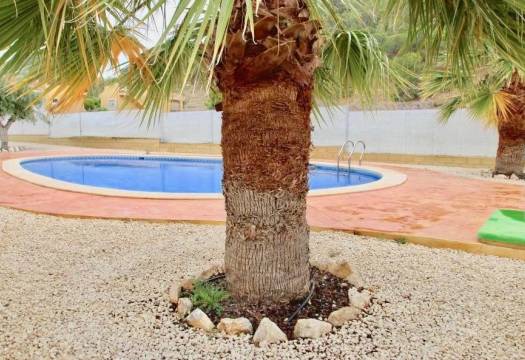 Obra Nueva - Villa / Chalet - La Romana - Villas de la Romana