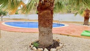 Obra Nueva - Villa / Chalet - La Romana - Villas de la Romana