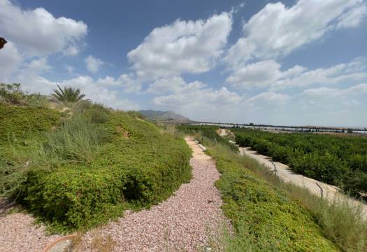 Reventa - Finca / Casa de Campo - Orihuela
