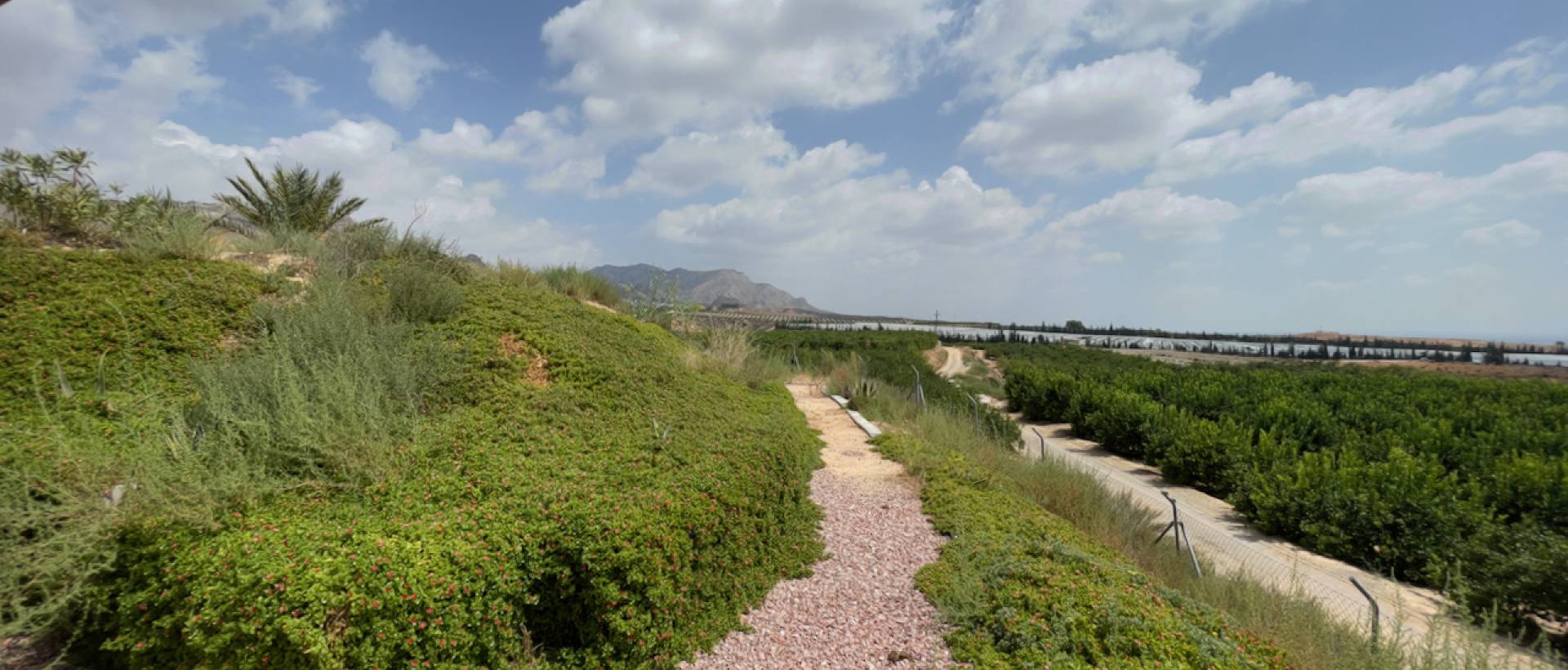 Reventa - Finca / Casa de Campo - Orihuela