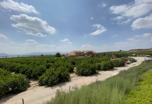 Reventa - Finca / Casa de Campo - Orihuela
