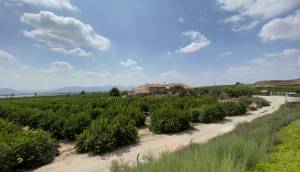 Reventa - Finca / Casa de Campo - Orihuela