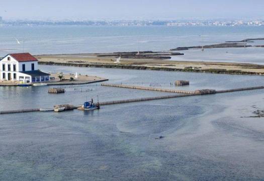 Obra Nueva - Villa / Chalet - San Pedro del Pinatar - Centro