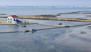 Obra Nueva - Villa / Chalet - San Pedro del Pinatar - Centro