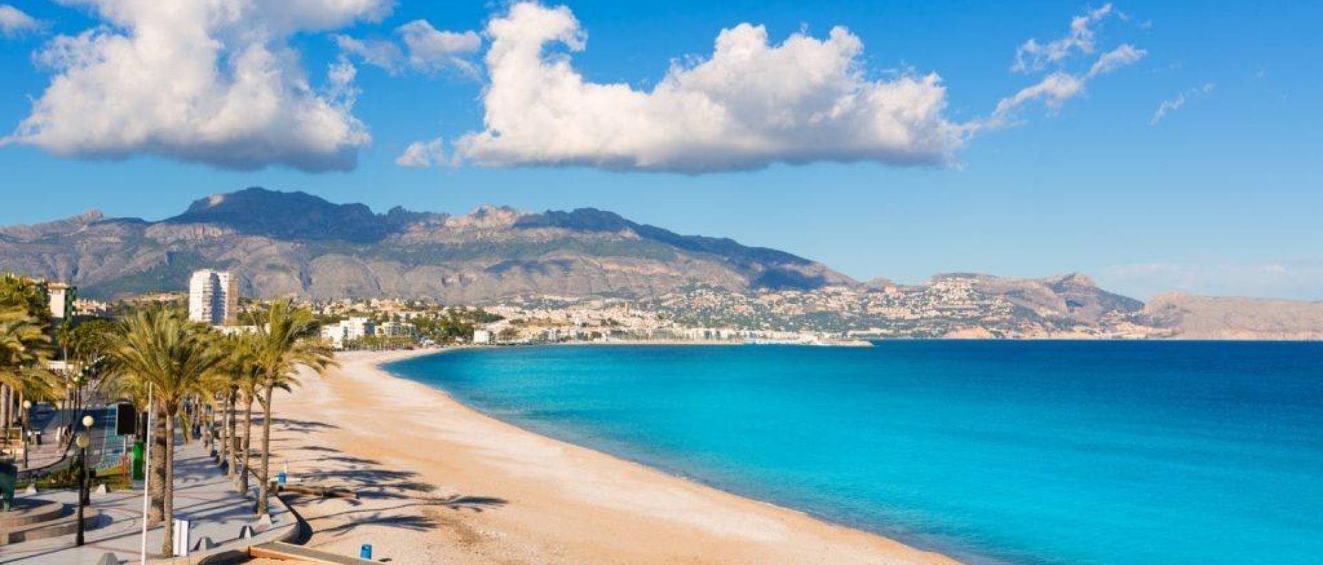 Obra Nueva - Villa / Chalet - Alfas del Pi - El Albir