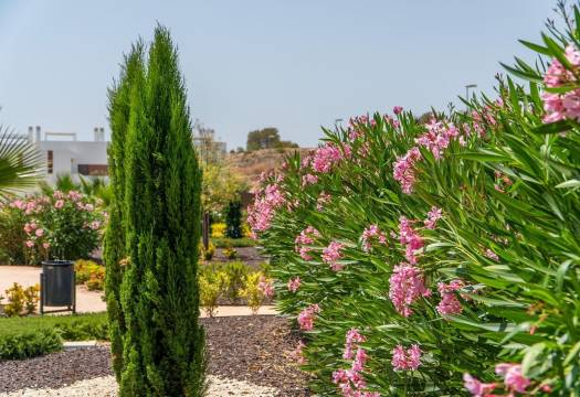 Obra Nueva - Apartmento - Orihuela - Vistabella Golf