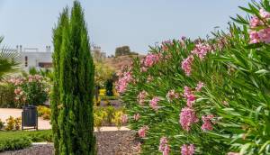 Obra Nueva - Apartmento - Orihuela - Vistabella Golf