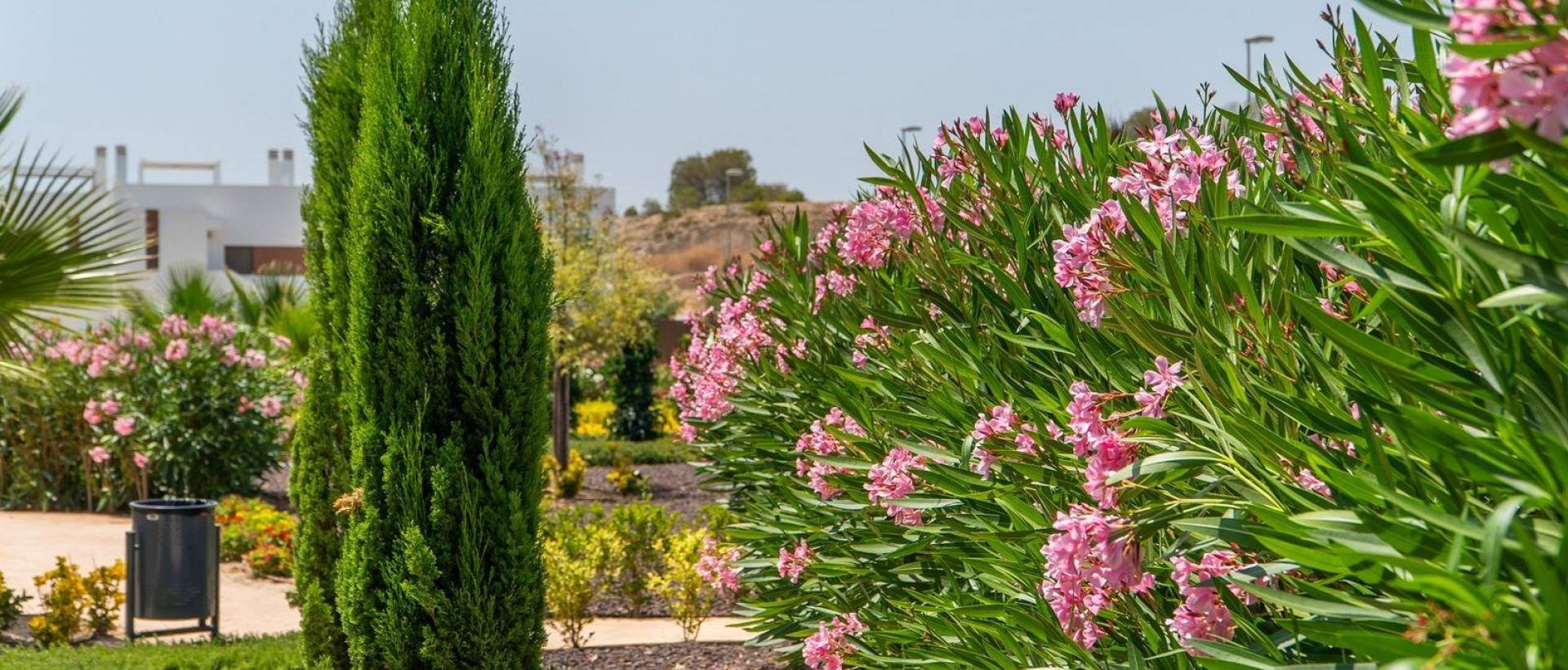 Obra Nueva - Apartmento - Orihuela - Vistabella Golf