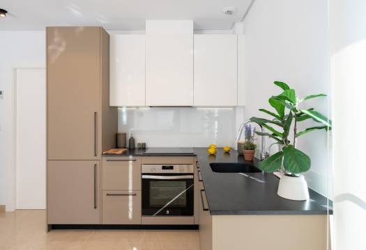 Obra Nueva - Villa / Chalet - Gran Alacant