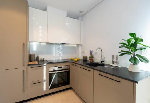 Obra Nueva - Villa / Chalet - La Marina - El pinet