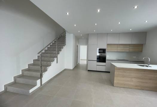 Obra Nueva - Villa / Chalet - Almoradi - Heredades