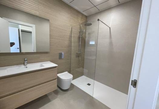 Obra Nueva - Villa / Chalet - Almoradi - Heredades