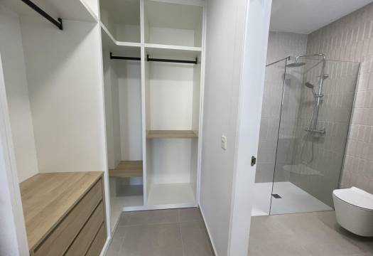 Obra Nueva - Villa / Chalet - Almoradi - Heredades