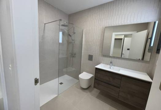 Obra Nueva - Villa / Chalet - Almoradi - Heredades