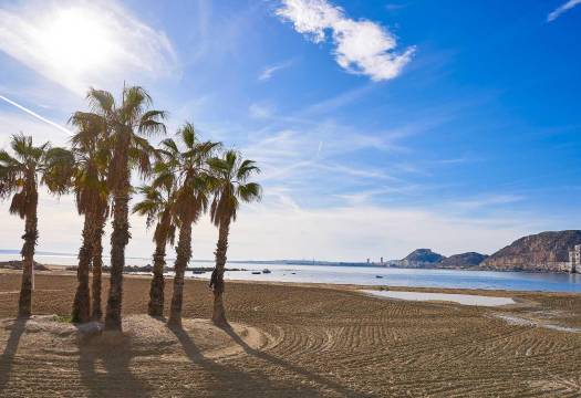 Obra Nueva - Villa / Chalet - Els Poblets - Partida Barranquets